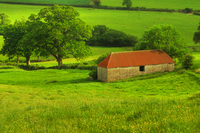 The-red-barn