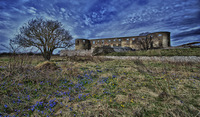 Borgholm-castle-