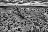 Abandoned-at-low-tide