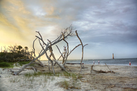 Beach-fishing