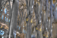 Colums-sagrada-familia-barcelona-spain