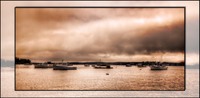 Foggy-maine