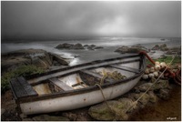 Misty-paternoster