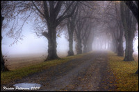 Fall
