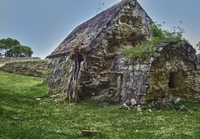Old-plantation