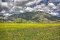 Monte-vettore