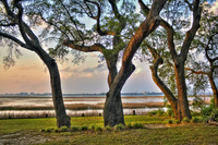 Distant-view