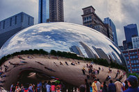 The-bean-