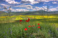 Parco-nazionale-monti-sibillini