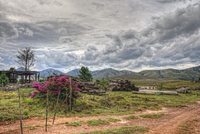 Farm-yard-view