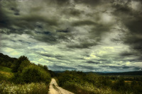 The-path