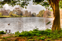 Lake-at-the-vyne