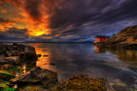 Late-evening
