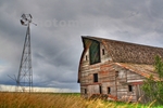 Relic-of-the-past
