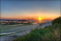Summer-evening