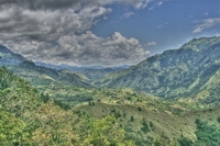 Sulawesi