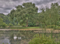 The-willows-pond-radnor-pa