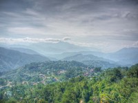 Foggy-mountains