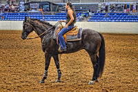 Appaloosa-show