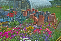 Flower-storage-hollis-nh