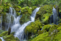 Under-the-waterfall-