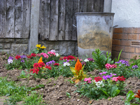 Bottom-of-the-garden