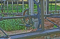 Another-greenhouse-picture