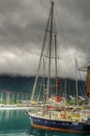 Troms-quest-kingstown