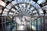 The-skywalk