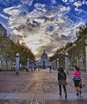 San-francisco-city-hall