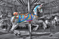 Horse-on-the-merry-go-round