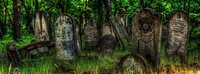 The-remnants-of-a-pre-war-jewish-cemetery-in-poland