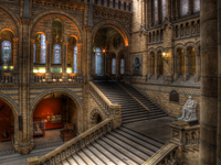 Hogwarts-moving-staircase-