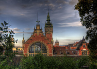 Train-station