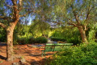 Enchanted-place