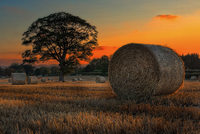 Hay-bales