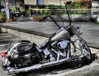 Harley-davidson