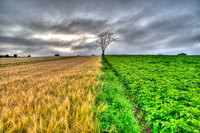 Crop-line