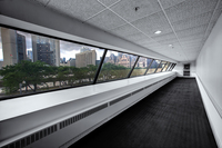Looking-through-the-window-