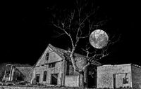 Moonlight