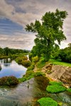 Beside-the-river-