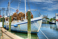 Tarpon-springs-florida