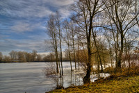Frozen-lake