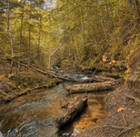 Before-the-falls
