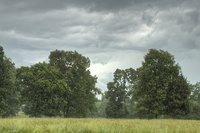 Summer-rain