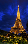 Eiffel-tower-at-dusk