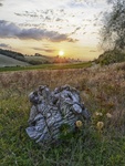 Tuscany