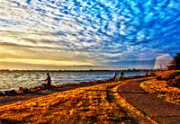 The-long-way-home-