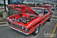 Red-chevelle