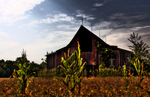 Indiana-barn
